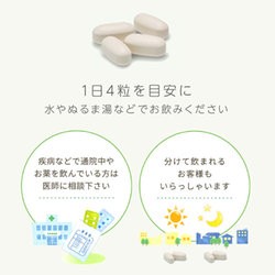 エクオール 大塚製薬 エクエル パウチ 120粒 3個 大豆イソフラボン ...