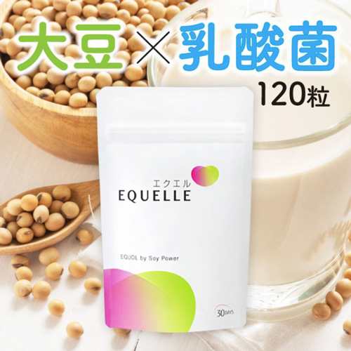 大塚製薬 エクエル パウチ 120粒 1個 正規品 正規流通ルート品 [ エクオール 大豆イソフラボン サプリ サプリメント 健康食品 ]  メール便｜au PAY マーケット