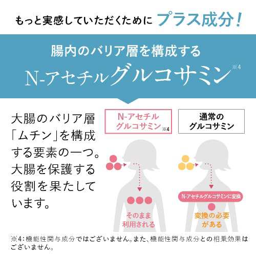 エラグ酸 ブラックジンジャー サラシア 糖の吸収を抑える 体重 内臓脂肪 血中中性脂肪 おなかの脂肪を減らす ダイエット サポート サプリ  サプリメント 医師監修 機能性表示食品 ナイナイシ 62粒 ウエストメンテ 90粒 各1個セット メール便｜au PAY マーケット