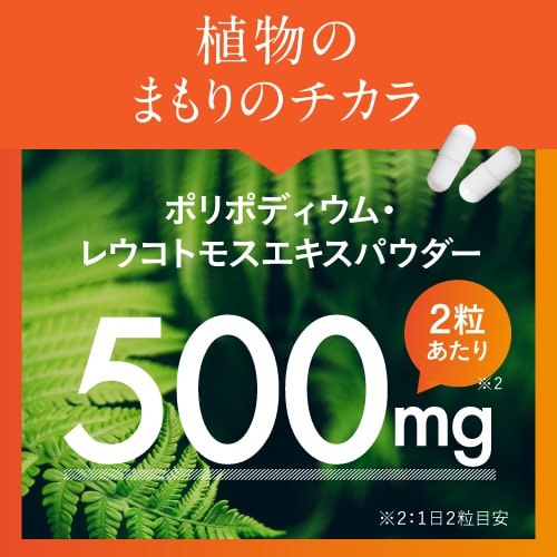シダ植物 抽出エキス ポリポディウム レウコトモスエキス 15,000mg ビタミンC ビタミンD ビタミンE サプリメント 海 山 インナーケア 飲む 美容サプリ 医師監修 栄養機能食品 ヘリオスキン 60粒 3個セット 宅配便_4