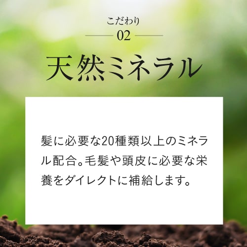 イオニート フルーティー エキストラ シャンプー オレンジ 1000mL バン インターナショナル ioneat 無添加 低刺激 美容室専売シャンプー サロン専売品 サロン専用シャンプー アミノ酸シャンプー シャンプー ノンシリコン 頭皮ケア イオニート シャンプー_6