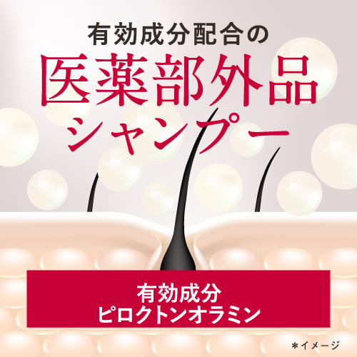 シャンプー トリートメント セット 各700mL 詰め替え 送料無料 女性