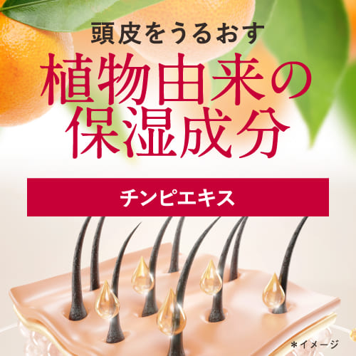 シャンプー トリートメント セット 各700mL 詰め替え 送料無料 女性