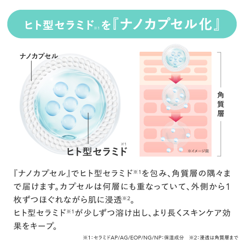 セラミド美容液 ナノカプセル化 ヒト型セラミド レチノール