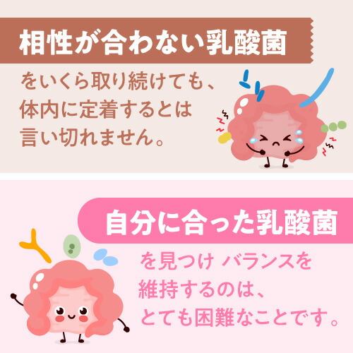 乳酸菌生成エキス L-16 300ｍL (10ｍL×30包) 医師監修 国内製造 植物原料100％ 乳成分不使用 長期熟成発酵エキス 送料無料 植物性乳酸菌生成エキス プロバイオティクス_5