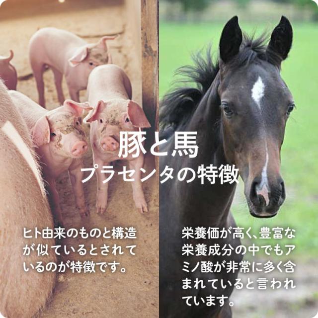 プラセンタサプリメント MDポーサイン ＆ ピクノジェノール 馬 豚 プラセンタ 高純度35,000mg配合 ポリフェノール サプリ 美サプリセット 医師監修 ドクターズサプリメント_14