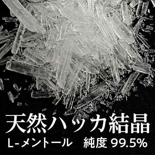 食品添加物香料・日本製】 ハッカ結晶 100g × 2個セット L-メントール