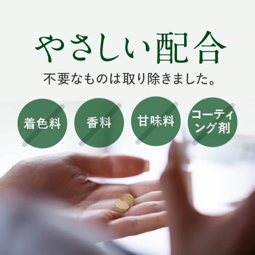 フェリチン鉄 60粒 5袋セット 150〜300日 鉄分補給 フェリチン鉄サプリ サプリメント 鉄分 2粒に10mg 医師監修 栄養機能食品 鉄 亜鉛 銅 葉酸 ビタミンb6 ビタミンb12 フェリチン 鉄分サプリメント 鉄分サプリ 鉄 サプリ 栄養補給 フェリチン鉄エクセレント メール便