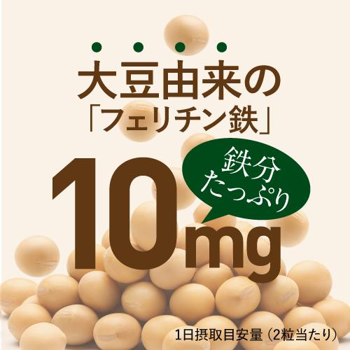 フェリチン鉄 60粒 5袋セット 150〜300日 鉄分補給 フェリチン鉄サプリ サプリメント 鉄分 2粒に10mg 医師監修 栄養機能食品 鉄 亜鉛 銅 葉酸 ビタミンb6 ビタミンb12 フェリチン 鉄分サプリメント 鉄分サプリ 鉄 サプリ 栄養補給 フェリチン鉄エクセレント メール便
