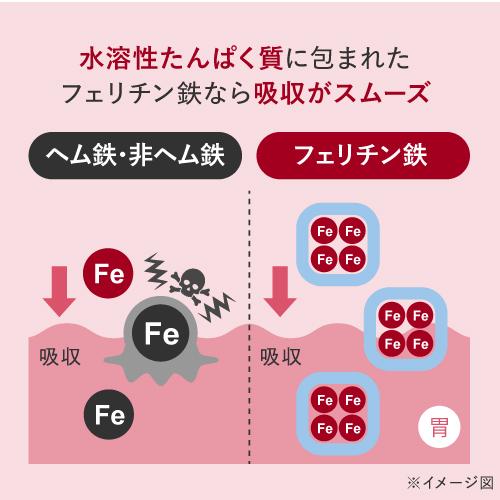 フェリチン鉄 60粒 5袋セット 150〜300日 鉄分補給 フェリチン鉄サプリ サプリメント 鉄分 2粒に10mg 医師監修 栄養機能食品 鉄 亜鉛 銅 葉酸 ビタミンb6 ビタミンb12 フェリチン 鉄分サプリメント 鉄分サプリ 鉄 サプリ 栄養補給 フェリチン鉄エクセレント メール便