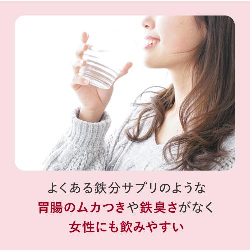 フェリチン鉄 60粒 5袋セット 150〜300日 鉄分補給 フェリチン鉄サプリ サプリメント 鉄分 2粒に10mg 医師監修 栄養機能食品 鉄 亜鉛 銅 葉酸 ビタミンb6 ビタミンb12 フェリチン 鉄分サプリメント 鉄分サプリ 鉄 サプリ 栄養補給 フェリチン鉄エクセレント メール便