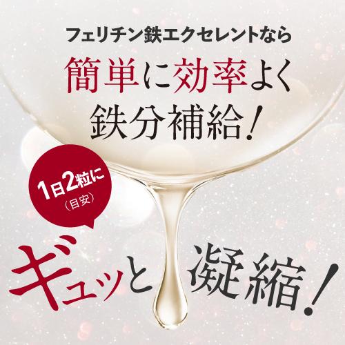 フェリチン鉄 60粒 5袋セット 150〜300日 鉄分補給 フェリチン鉄サプリ サプリメント 鉄分 2粒に10mg 医師監修 栄養機能食品 鉄 亜鉛 銅 葉酸 ビタミンb6 ビタミンb12 フェリチン 鉄分サプリメント 鉄分サプリ 鉄 サプリ 栄養補給 フェリチン鉄エクセレント メール便