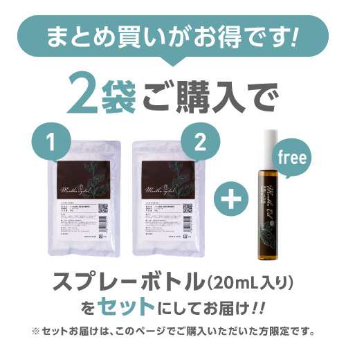 ハッカ結晶 メントールクリスタル 100g 食品添加物香料 日本製 L