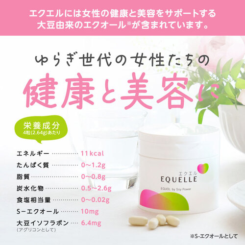 エクオール 大塚製薬 エクエル パウチ 120粒 メール便 正規流通ルート