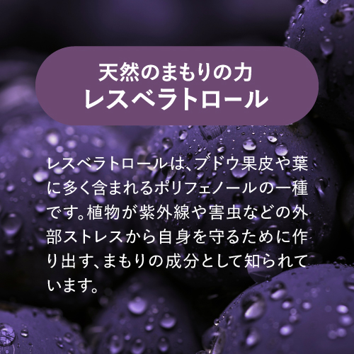 【3箱セット 15％OFF】 HGH エクセレント 15g×20袋 3個セット 医師監修 バランス配合 必須アミノ酸サプリ アミノ酸サプリ レスベラトロール アミノ酸ドリンク リジン グルタミン アルギニン オルニチン フェニルアラニン トリプトファン シトルリン_12