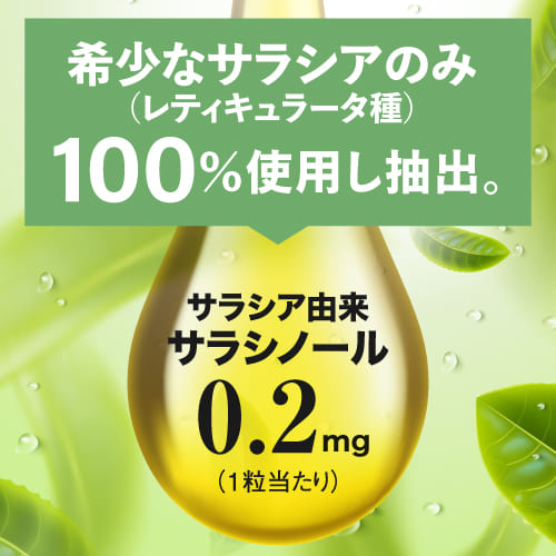 サラシア サプリ 93回分 医師監修 サラシノール 0.2mg 食事から摂取