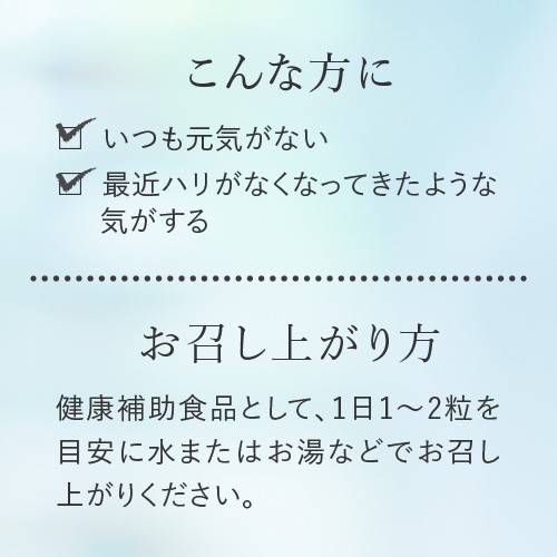 NMN サプリ 7500mg (3750mg×2袋) 酵母発酵法 純度99.9％以上 高配合 国産 医師監修 NMNエクセレントプラス 30粒入り  2個セット 日本製 ｜au PAY マーケット