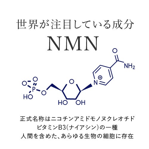 ニコチンアミドモノヌクレオチド2個セット