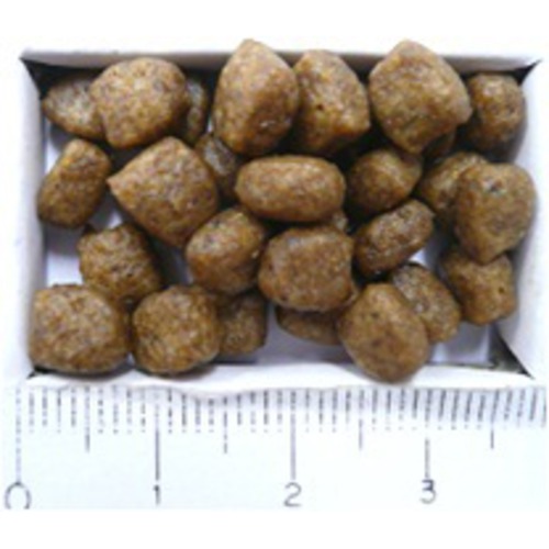 お取寄せ品 ロイヤルカナン チワワ 子犬用 1 5kg 送料無料 の通販はau Pay マーケット トムキャット