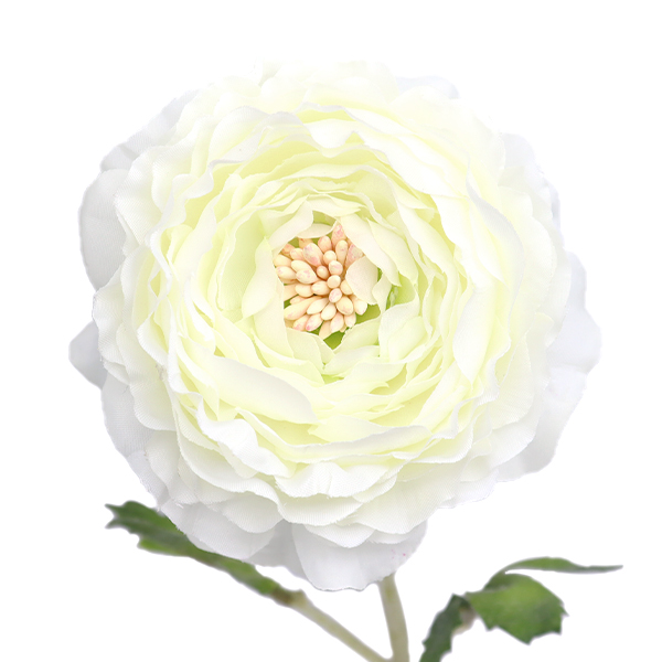 造花 シルクフラワー ラナンキュラス クリームホワイト A 011 Asca アスカ商会の通販はau Pay マーケット 手芸と生地のユザワヤ