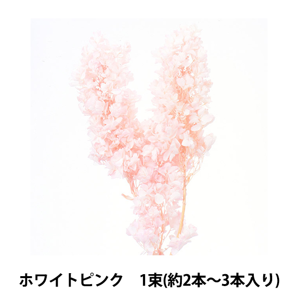 かずさま専用　プリザあじさい4 Amazon | ハーバリウム 花材 キット あじさい かすみ草 シルバー