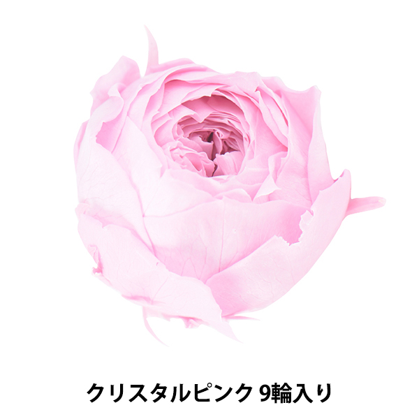 プリザーブドフラワー 『ローズ ココット クリスタルピンク 02730-111』