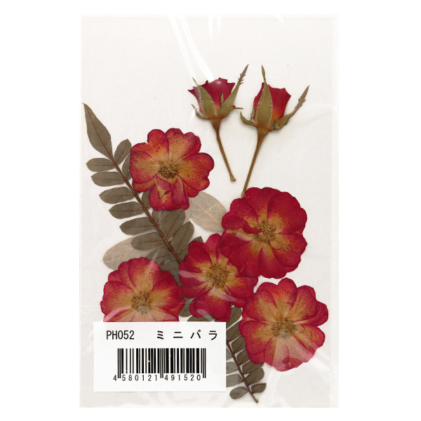 押し花キット つみたて花パック ミニバラ Ph052 の通販はau Pay マーケット 手芸と生地のユザワヤ