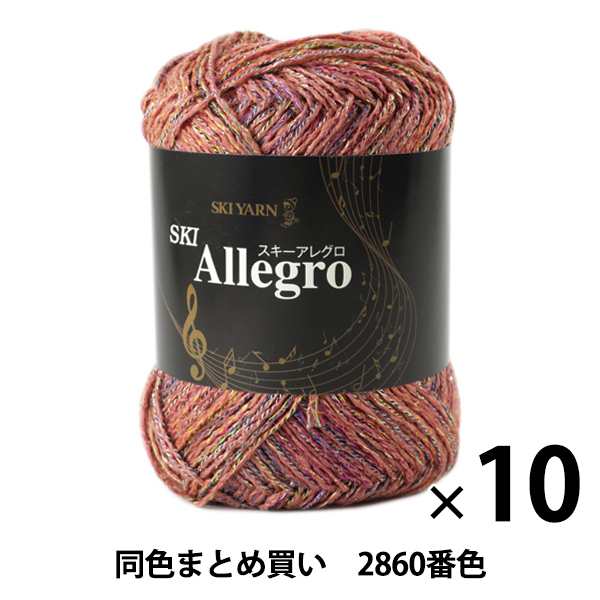 【10玉セット】秋冬毛糸 『SKI Allegro(スキーアレグロ) 2860番色』 SKIYARN スキーヤーン【まとめ買い・大口】の通販は 6,579円