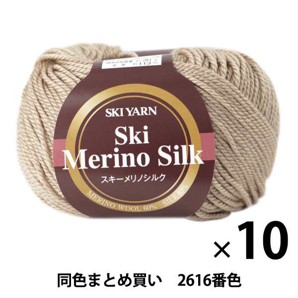 【10玉セット】秋冬毛糸 『Ski Merino Silk(スキーメリノシルク) 2616番色』 SKIYARN スキーヤーン【まとめ買い・大口】