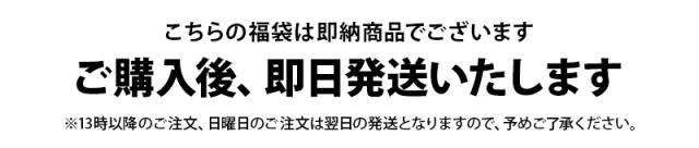 送料無料】即納 2026年新春福袋 ニューランド NEWLAND 日本正規品