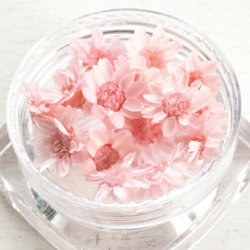 桃のドライフラワー Www Floridaconstructionlegalupdates Com