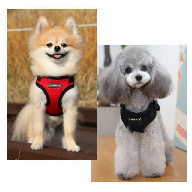 犬用 胴輪 ソフトハーネスc Soft Harness C Xlサイズ Puppia パピア ペット ドッグ 小型犬の通販はau Pay マーケット 犬猫用品のdogskip