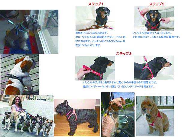 胴輪 ハーネス バディーベルト 4号 ペット 犬 レザー 本革 Buddy Belt Buddybelt 犬 犬用 ペット ドッグ ペット ペットグッズ 犬用品 胴の通販はau Pay マーケット 犬猫用品のdogskip