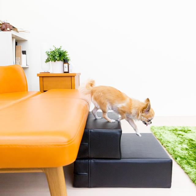 愛犬家が作った ドッグステップ Chito 犬 階段 ステップ スロープ クッション ベッド ソファ カドラー ヘルニア 介護 誕生日 段差の通販はau Pay マーケット Tees Factory ティーズ 愛犬家が作った ドッグステップ Chito 犬 階段 ステップ スロープ クッション ベッド ソファ カドラー ヘルニア 介護 誕生日 段差の通販はau Pay マーケット Tees Factory ティーズ