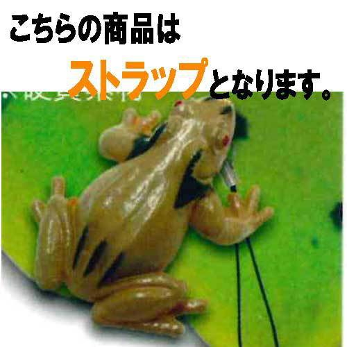 蛙 脊推動物亜門 両生網カエル目 24 カエルストラップf ビーム ガチャポンの通販はau Pay マーケット 遊you