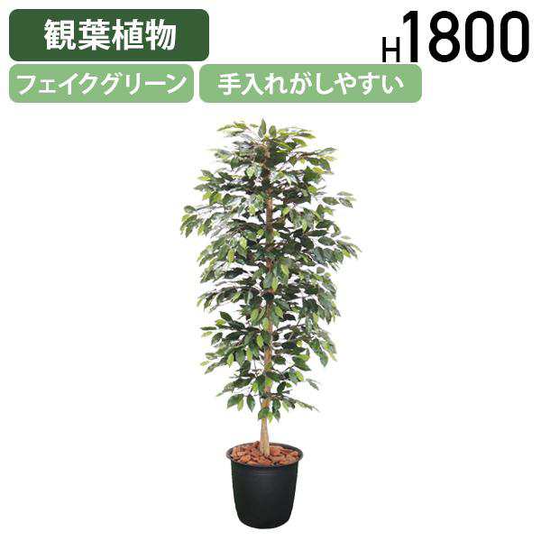 ベンジャミン W800 D800 H1800 フェイクグリーン 人工観葉植物 観葉植物 フェイク 造花 観葉樹 室内 植木 衛生的 受注生産 代引不可 法人宛限定 HBY-BJM-18