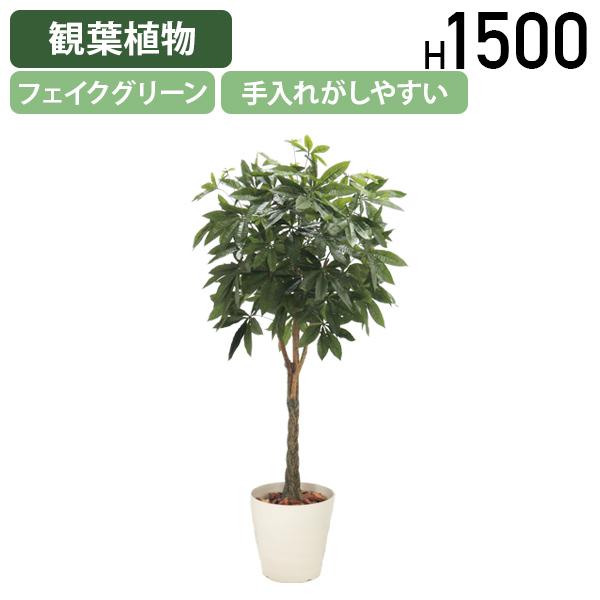 人工観葉植物 アスパラガス ガーランド 長さ180cm （P24-99487) （代引き不可） フェイクグリーン アスパラガス ガーランド 幅40 × 奥行