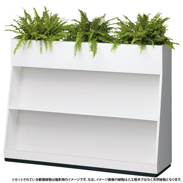 BS型フラワーボックス W1200 D350 H900 BS型 オフィスアクセサリー フラワーボックス ホワイト/オーク木目/ローズ木目 代引不可 法人宛限定 SF-F1200BSの通販は