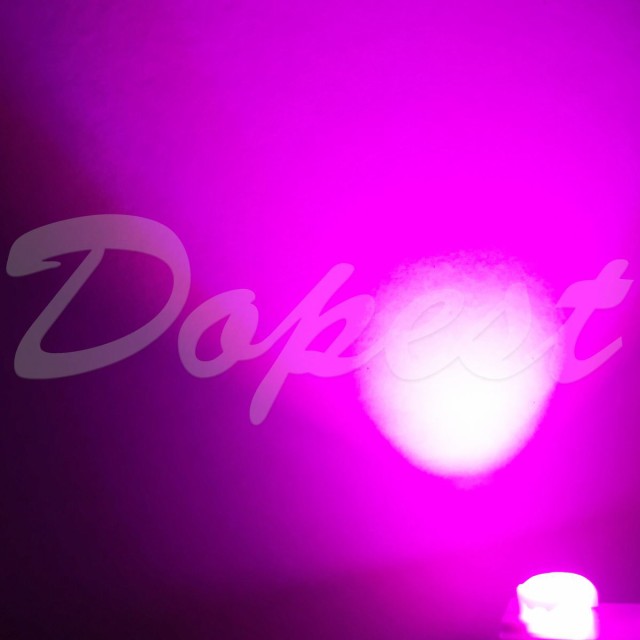 LED フットライト ピンク/桃 インナーランプ グローブボックス 汎用 球 フロア ルームの通販はau PAY マーケット - Dopest au PAY マーケット店 LED フットライト ピンク/桃 インナーランプ グローブボックス 汎用 球 フロア ルームの通販はau PAY マーケット - Dopest au PAY マーケット店