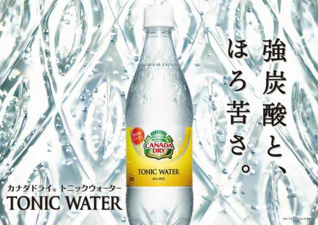 非常に高い品質 10%ポイント付与対象 カナダドライ トニックウォーター 500ml PET 1ケース×24本入 送料無料 