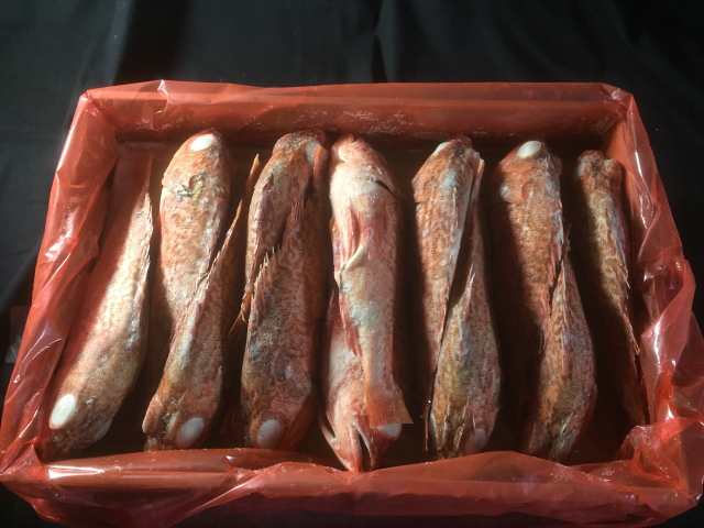 業務用 冷凍 ラプラタユメカサゴ セミドレス 5kg 25尾サイズ