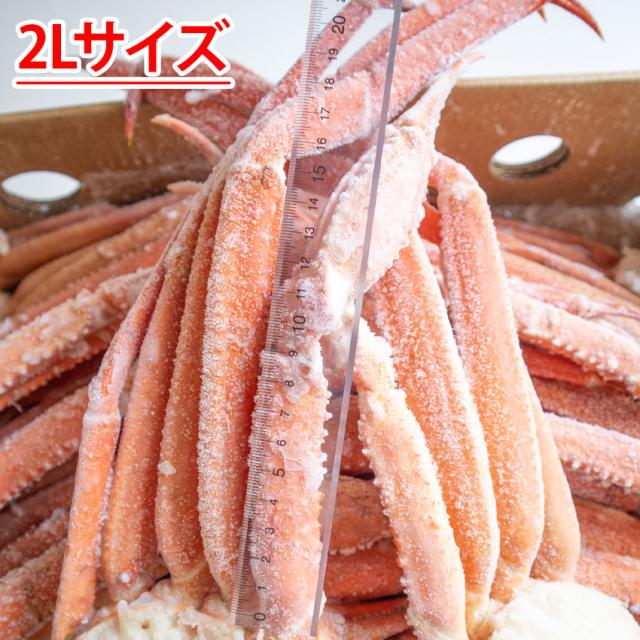 【年末年始予約用】【送料無料】ボイルズワイガニ　5kg(19肩〜24肩入)　2Lサイズ 訳あり 特価品 ボイルズワイガニ 5kg ロシア産 送料無料 脚