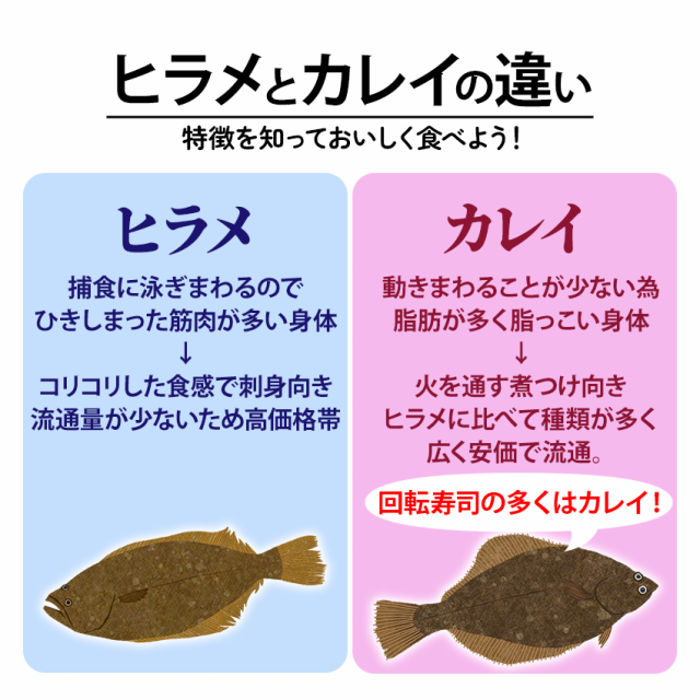 カラスガレイ縁側端材 500g 冷凍 業務用 生食用 エンガワ カラスカレイ 【魚】 【訳あり】の通販はau PAY マーケット - グルメ通販市場  | au PAY マーケット－通販サイト