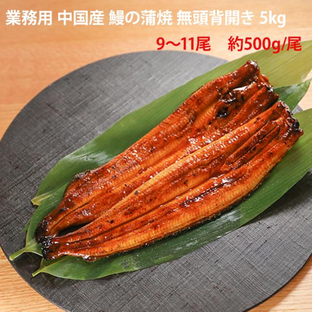 鰻の蒲焼 5kg 無頭 背開き 業務用 約9〜11尾入 1尾約500g (10kg 20尾サイズ) 冷凍 うなぎ unagi かばやき うな重 うな丼 大容量 仕入れ 居酒屋 和食 プロ 飲食店