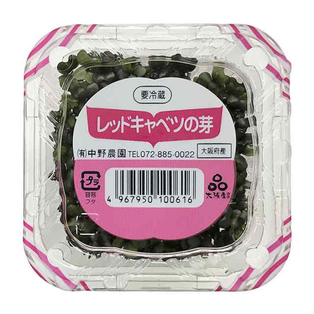 大阪府産 レッドキャベツの芽 10個入り 箱 の通販はau Pay マーケット 生鮮卸売市場プロマート