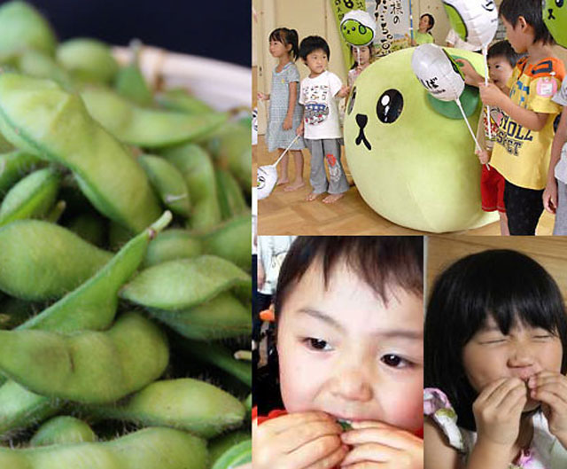 だだちゃ豆 冷凍 500ｇ白山 山形県産 朝採り 有機肥料 殿様のだだちゃ豆 だだ茶豆 枝豆 えだまめ 庄内 鶴岡市の通販はau Pay マーケット お食い初め料理 ザ フレア