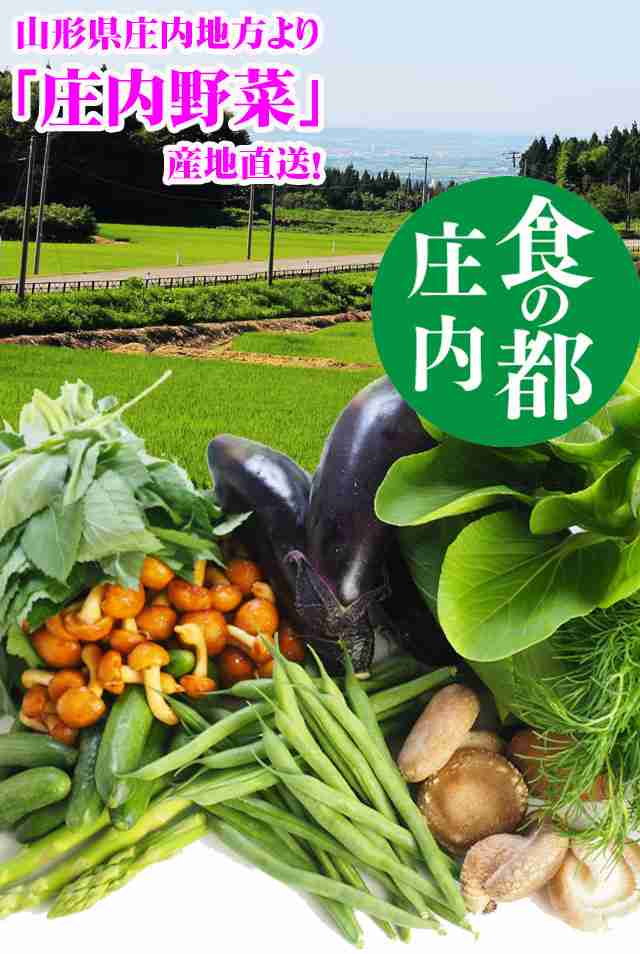 庄内　新鮮　送料無料　ザ・フレア　野菜セット　PAY　マーケット　6品　おまかせ　地物野菜の通販はau　山形県庄内産　PAY　野菜詰め合わせ　お食い初め料理　au　マーケット－通販サイト