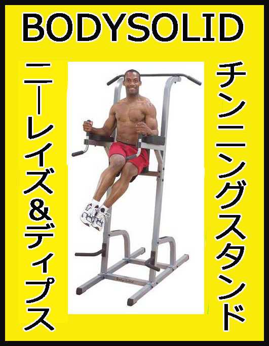 配送発送方法Ｂｏｄｙｓｏｌｉｄ ボディソリッド ディップスステーション