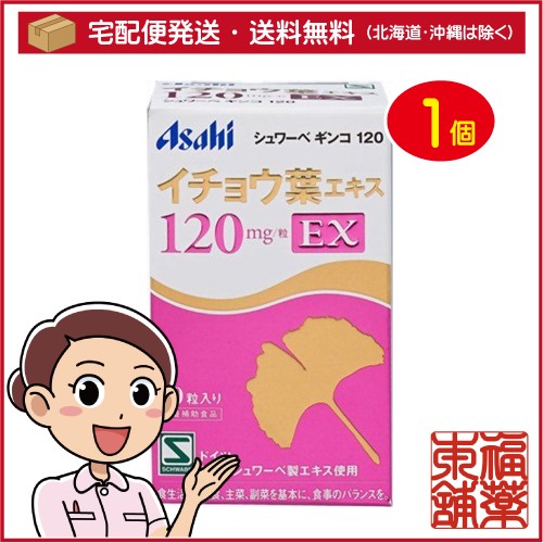 シュワーベギンコ 120ｍｇEX 60粒 | シュワーベギンコ120EX 60粒x4個 | アサヒ | イチョウ葉