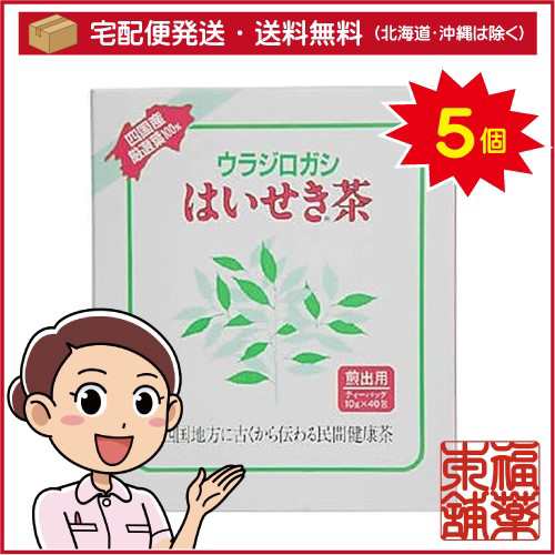 はいせき茶煎出用(40入)×5個 [宅配便・送料無料] 医薬部外品